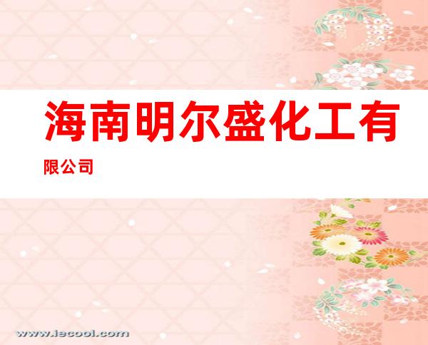 海南明尔盛化工有限公司